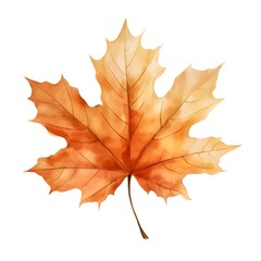 Obraz premium Vibrant Autumn Maple Leaf on Minimalist White Background