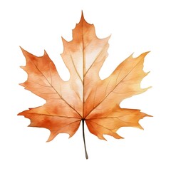 Vibrant Maple Leaf Watercolor Painting on Minimalist White Background