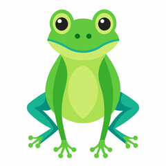 colorful Minimalist  Frog - Vector Illustration