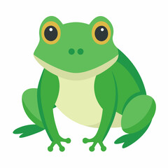 colorful Minimalist  Frog - Vector Illustration