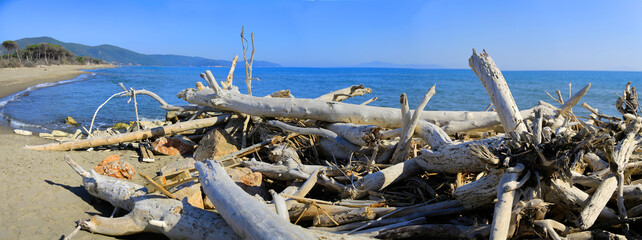 Treibholz am Strand in der Toskana, Italien, Europa, Panorama 