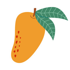 Mango with leaves vector illustration icon clipart. Hand drawn mango logo, whole tropical exotic fruit isolated on white background. Summer ripe fruit.