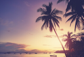 Beach with coconut palm tree silhouettes at sunset, color toning applied, Panglao Island,...
