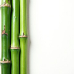 Obraz premium Bamboo toothpick details cut out on white background, toothpick, white, background