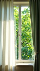 Fototapeta premium Soft curtain covers a window with branches of a green tree outside, tree, branch