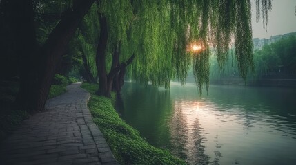 Fototapeta premium Serene Sunrise Canal Path Willow Trees