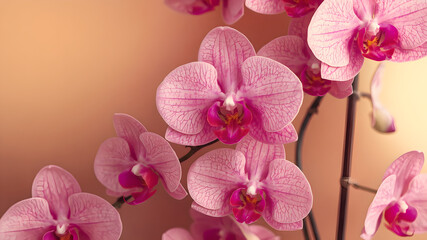 purple-pink orchids on a background of pink wallpaper