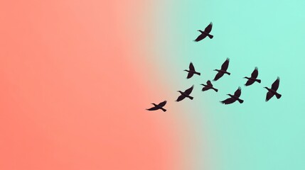 Fototapeta premium Birds flying in pastel sky.