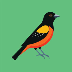 orchard-oriole.eps