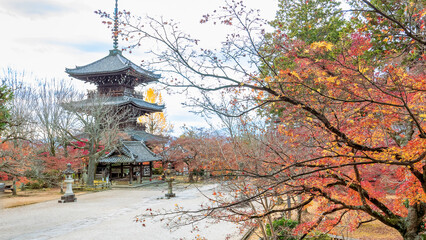 Fototapeta premium A traditional wooden pagoda stands amidst vibrant autumn foliage at Shinnyodo Temple. The colorful leaves frame the historic structure. Shinnyo-do Temple, Kyoto, Japan.