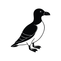 razorbill.eps