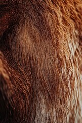 Close-up of soft wool fibers showcasing rich textures and earthy tones