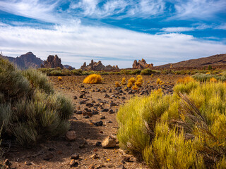 Hiking in the Teide national Park