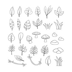 Flora Nature, Leaves, and Mushrooms Hand Drawn Outline Collection