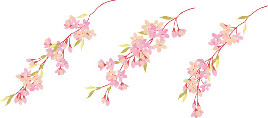 桜のイラストセット