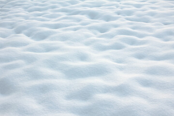 soft snow cover on the field, slightly wavy