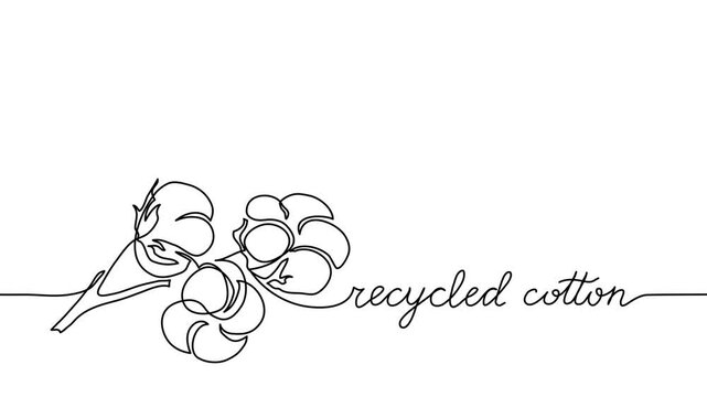 Recycled cotton animated illustration. One continuous self drawing line animation, footage of cotton flower with lettering recycled cotton