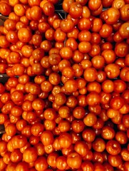 red cherry tomatoes