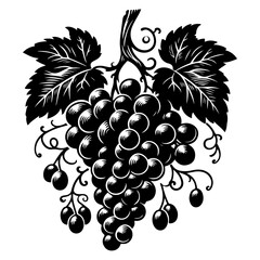 Fototapeta premium Vector silhouette Cartoon hand drawn Black Grapes Bunch