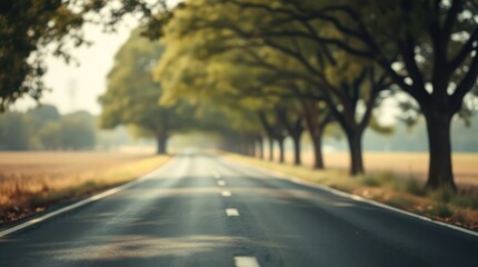 Fototapeta premium Long Road Lined with Tall Trees Creating a Canopy Wallpaper Background