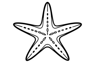 starfish on white background