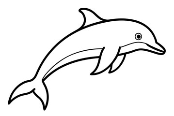 dolphin isolated on white