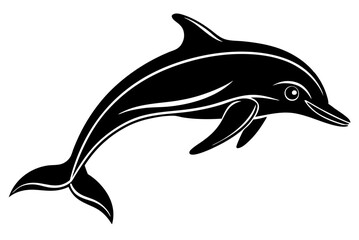 Obraz premium dolphin isolated on white