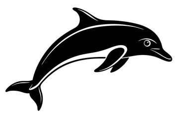 dolphin isolated on white background