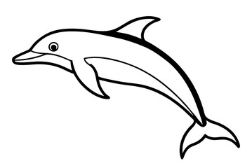 Fototapeta premium dolphin isolated on white