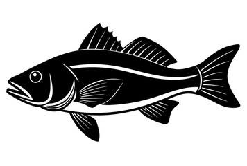 fish on a white background