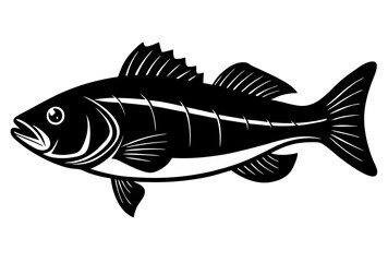 fish on a white background