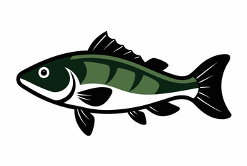 fish on a white background