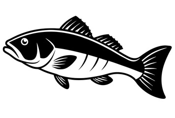fish on a white background