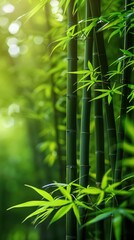 绿意竹林翠绿竹叶清新宁静自然背景