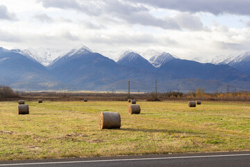 A field with haystacks near the Carpathian mountains. Snowy mountain peaks in Transylvania,...