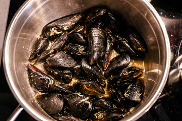 Mussels in a pot. Stewing shellfish in a pot ona a stove. Mediterranean mussel.