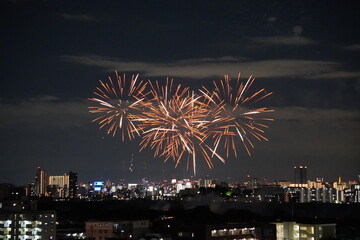 Fireworks Festival in Japan