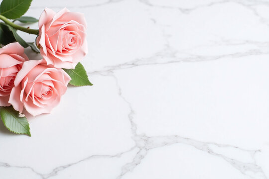 serene elegant scene pink roses white marble surface details