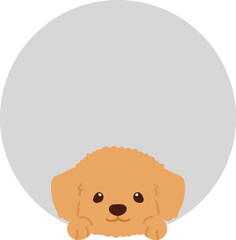 Adorable Toy Poodle coming out of a circle shape