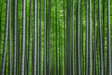 A serene and lush bamboo forest with tall, straight stalks reaching upwards surrounded by vibrant green foliage