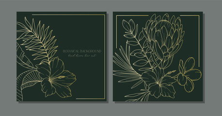 Tropical Flowers Outline. Line Art Tropical Plants. Botanical Background with trendy minimalist tropical plants and flowers. Luxury Floral Line Art Illustration. © Xenia