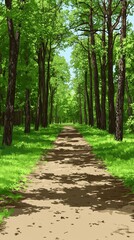 Obraz premium Sun-dappled Path Through a Lush Green Forest Canopy