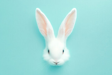 Obraz premium Adorable Rabbit Head With Prominent Ears Against a Soft Pastel Blue Background