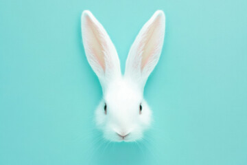 Obraz premium A Delightful Close-Up of a Fluffy White Rabbit's Ears Set Against a Soft Pastel Blue Background