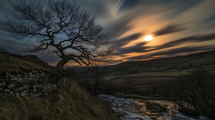 Fototapeta premium Sunset Landscape with Silhouetted Tree and River