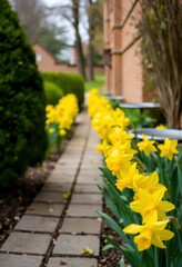 a bunch of yellow flowers