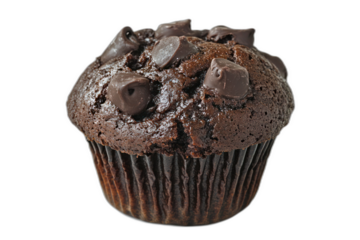 chocolate muffin isolated