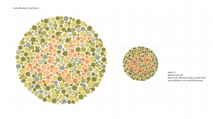 Color vision test or Color Blindness Test Plate 9 and other Plate 13, Normal view 45, Red_Green deficiency: Most people don't see anything or see something wrong. © A.S.Khan
