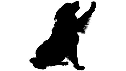 silhouette of a Dog.