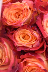 bouquet of roses